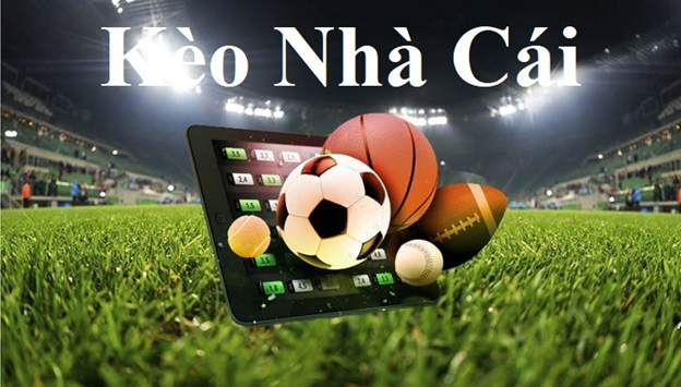 Nhà cái uy tín vf555 - Nhà cái tặng cược miễn phí chơi nổ hũ Nhà cái uy tín vf555 - Nhà cái tặng cược miễn phí chơi nổ hũ